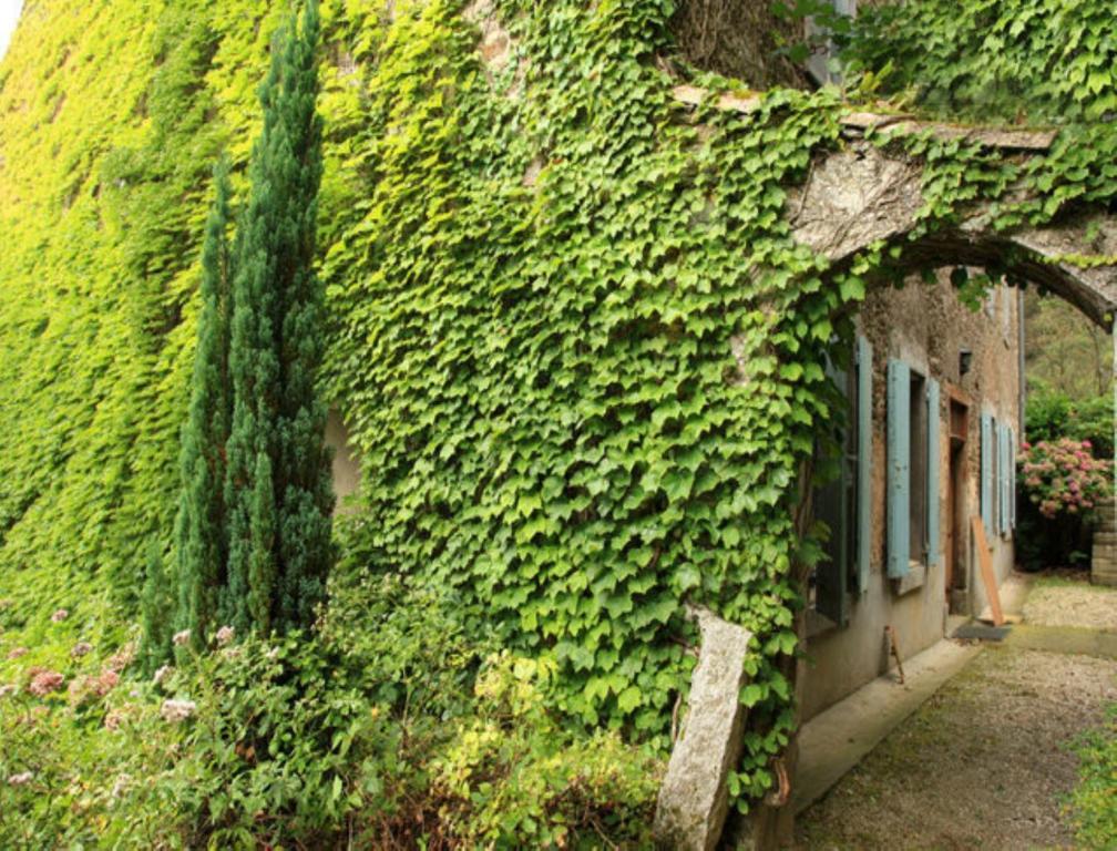 L'Affable Les Cammazes Bed & Breakfast Екстериор снимка