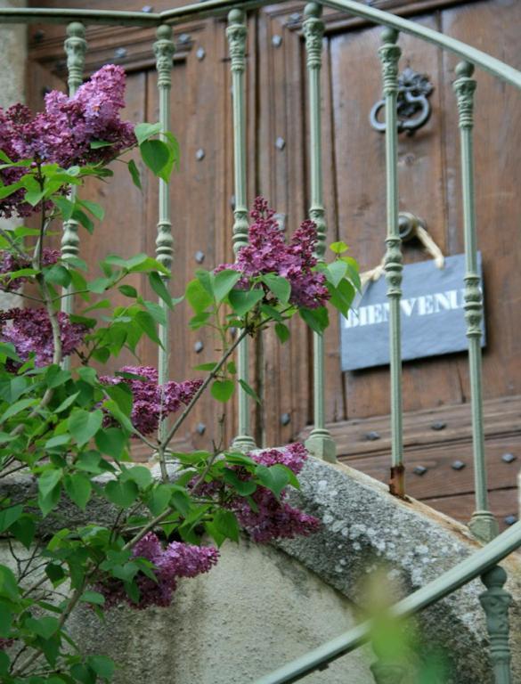 L'Affable Les Cammazes Bed & Breakfast Екстериор снимка